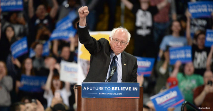 Bernie Sanders Campaign Workers Unionize