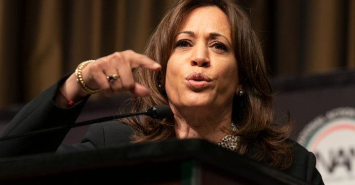Kamala Harris: Democrat ends bid for US presidency