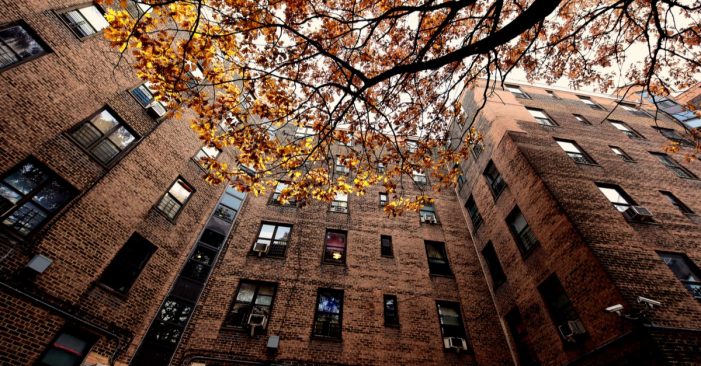 The Toll of NYCHA’s Lead Lies: A Brooklyn Girl Poisoned as Officials Covered Up Danger