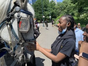 TWU Local 100 Launches AWESOME Horses to Help Kids Meet and Learn About NYC’s Gentle Giants