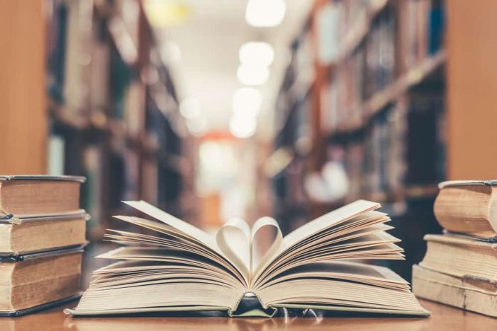Celebrating the Unsung Heroes: The Importance and Impact of Library Workers