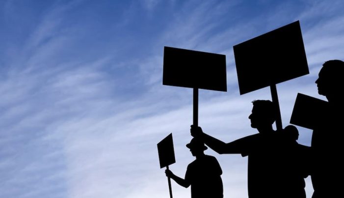 Unionizing the Ivory Tower – A Special Book Event with Author Al Davidoff