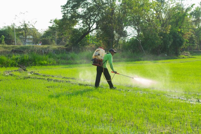 Reporters Explore the Effects of Pesticide Exposure on Farmworkers