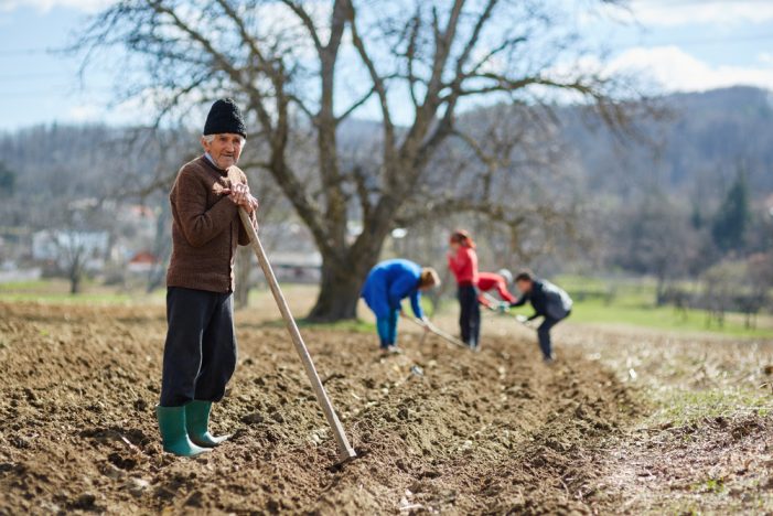 Farm Groups Urge Trump to Spare Immigrant Workers Amid Deportation Threats