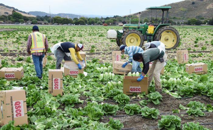 What’s Next for Undocumented Workers Who Witness Labor Violations