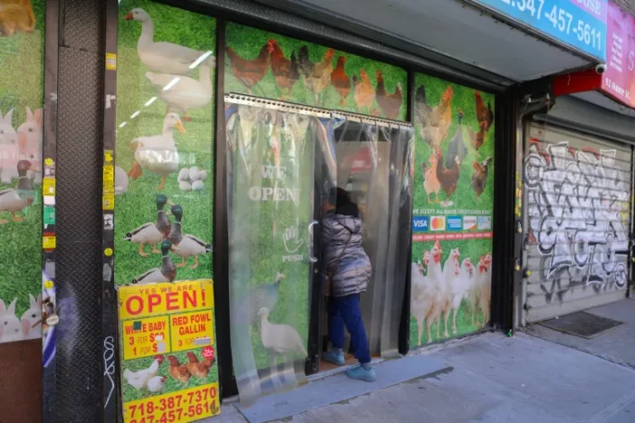 Hochul Shutters Live Bird Markets in NYC After Bird Flu Detected in Poultry